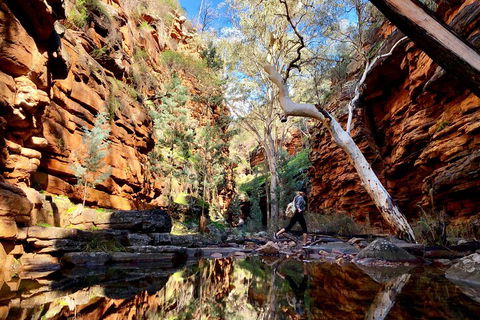 10-Day Adelaide To Perth Adventure Tour - Perisher Accommodation 5