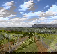 Hunter Valley Wine Tour from Sydney incl Lunch Cheese Chocolate and Distillery - Perisher Accommodation