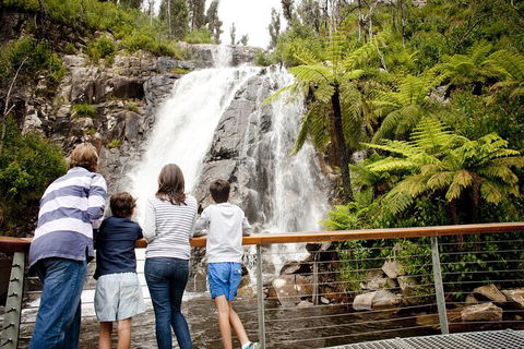 Lake Mountain Snow Trip Including Yarra Valley Chocolaterie From Melbourne - Perisher Accommodation 0