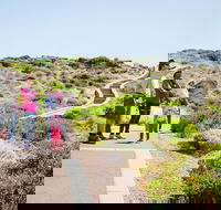 Margaret River Coastal and Wildlife Eco Trip from Busselton or Dunsborough - Perisher Accommodation